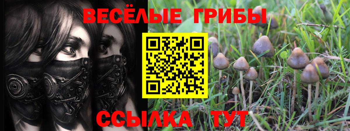 Псилоцибиновые грибы Magic Shrooms  Вход с VPN  Псилоцибиновые грибы мицелий  Михайловск 